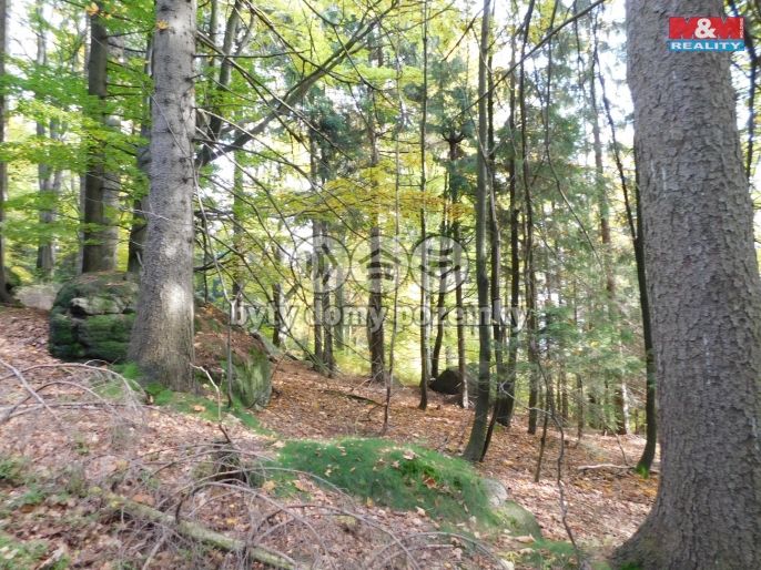 Prodej, Louka, Lučany nad Nisou