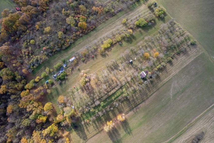 Prodej, Ovocný sad, Kostelec u Holešova