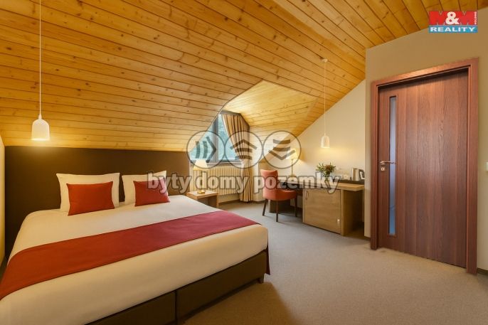 Prodej, Nájemní dům, Jáchymov