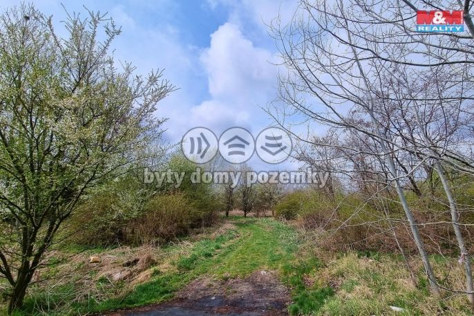 Prodej, Ostatní, Olomouc