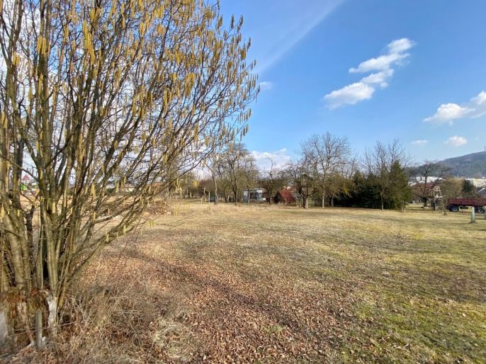 Prodej, Zahrada, Drásov