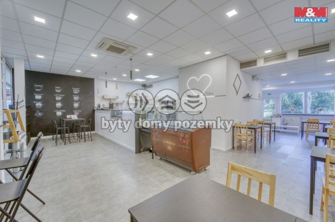 Pronájem, Obchodní objekt, Třemošná