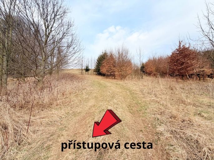 Prodej, Louka, Lichkov