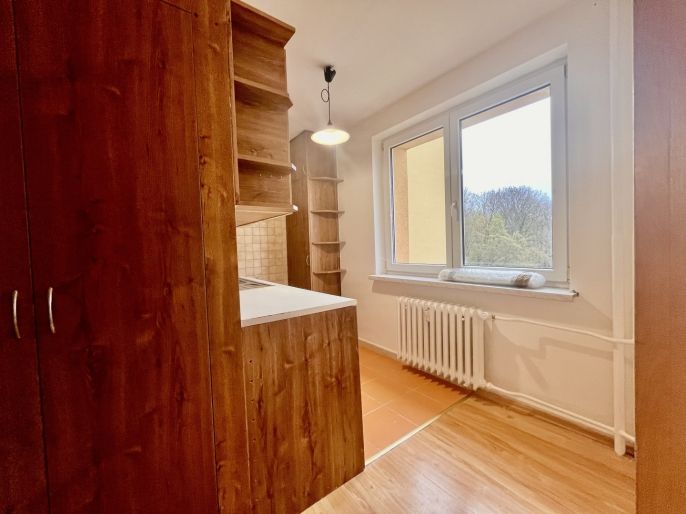 Pronájem, Byt 1+1, Ostrava