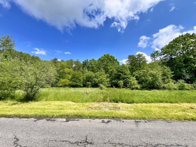 Prodej, Vodní plocha, Skalice u České Lípy