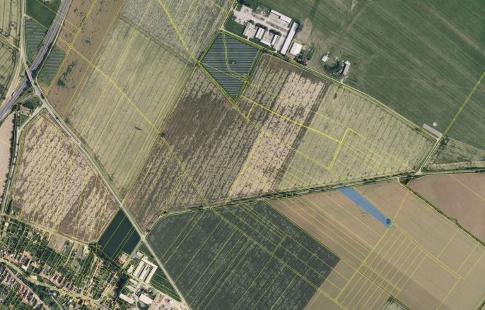Prodej, Pole, Prostějov