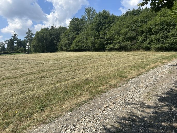 Prodej, Pozemek k bydlení, Zbraslavice