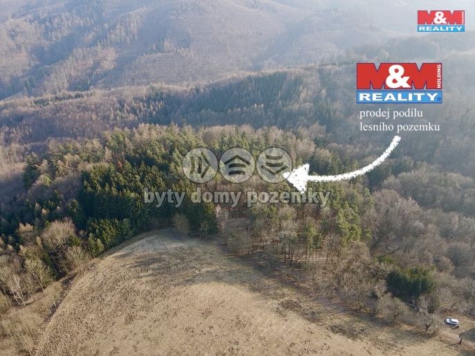 Prodej, Les, Městečko Trnávka