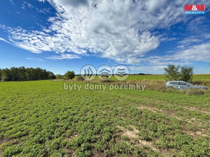 Prodej, Pole, Dobronice u Bechyně