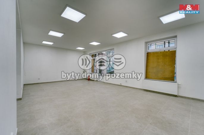 Pronájem, Obchod a služby, Plzeň