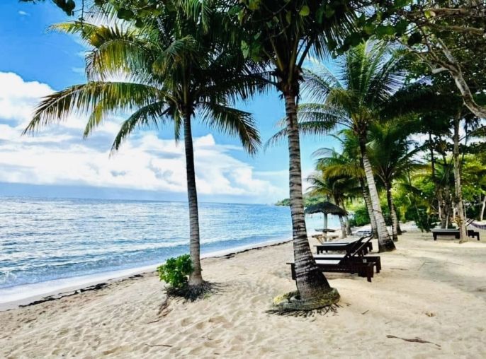 Prodej, Komerční pozemky, Roatan 