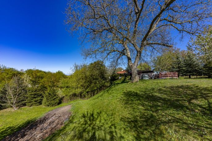 Prodej, Chata, Třebovle