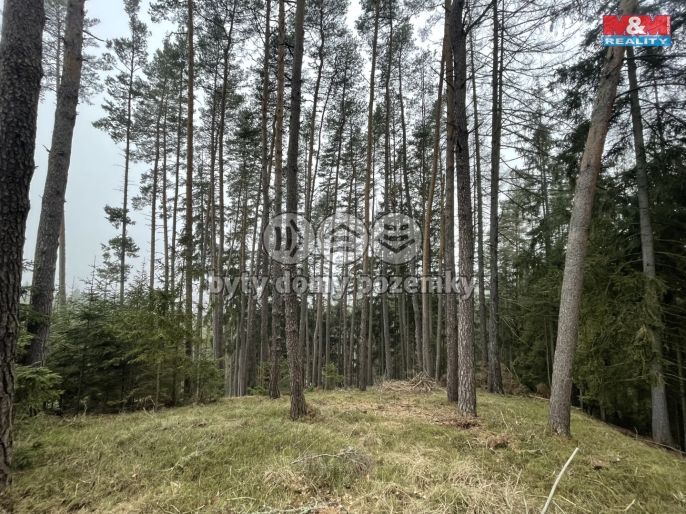 Prodej, Les, Pecka