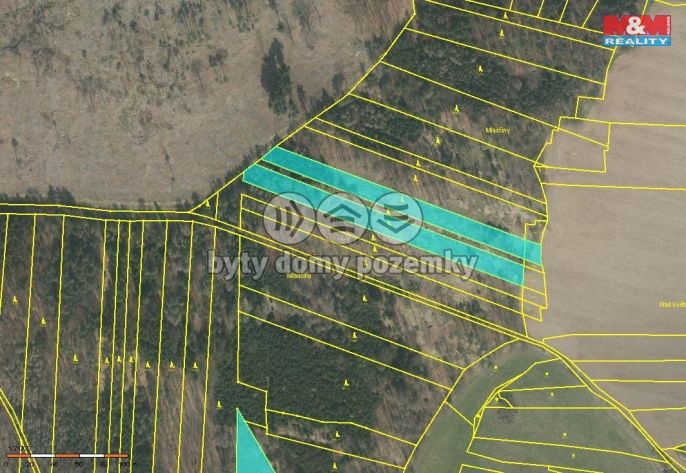 Prodej, Les, Stehlovice