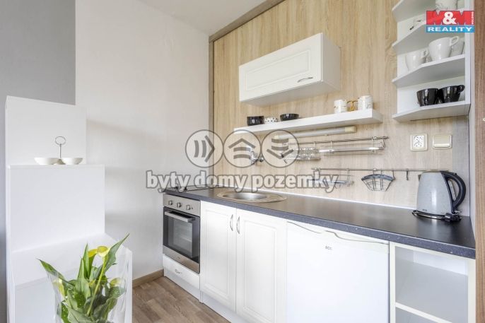 Pronájem, Byt 1+kk, Cvikov