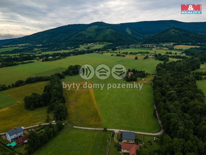 Prodej, Pole, Třinec