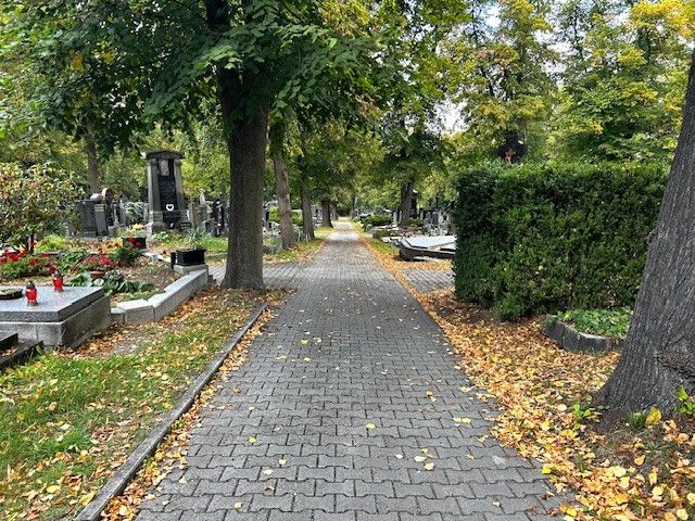 Prodej, Ostatní, Plzeň