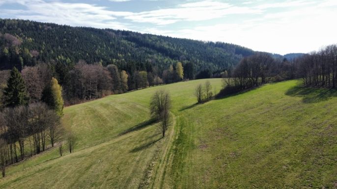 Prodej, Louka, Pastviny