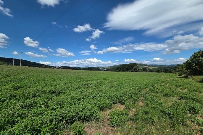 Prodej, Pole, Šemnice
