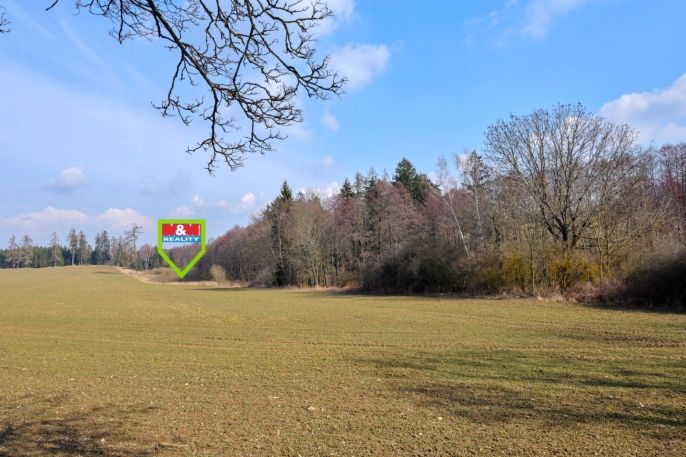 Prodej, Louka, Kadolec