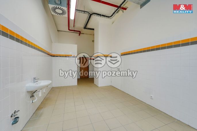 Pronájem, Restaurace, stravování, Plzeň