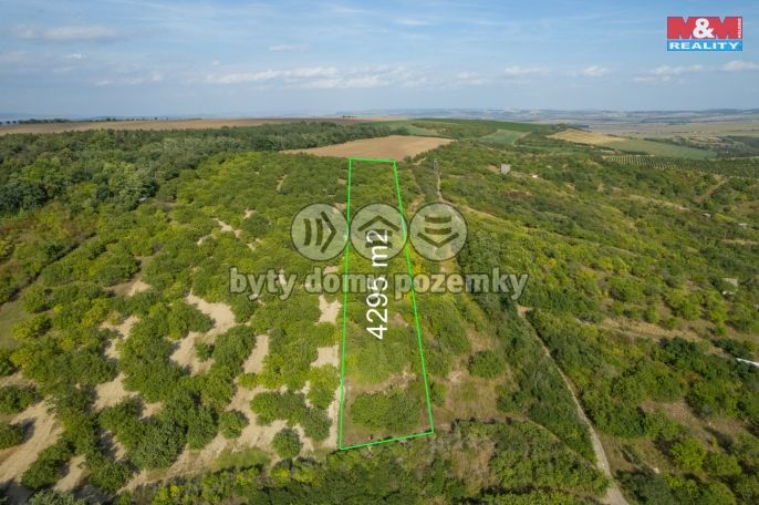 Prodej, Ovocný sad, Židlochovice