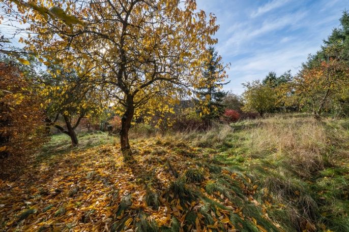 Prodej, Zemědělský objekt, Němčovice
