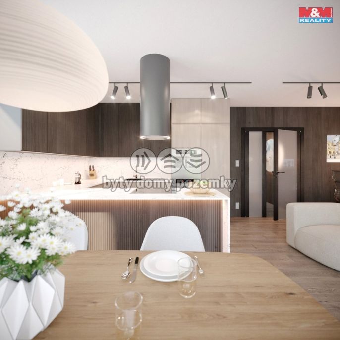 Prodej, Byt 3+kk, Nový Jičín