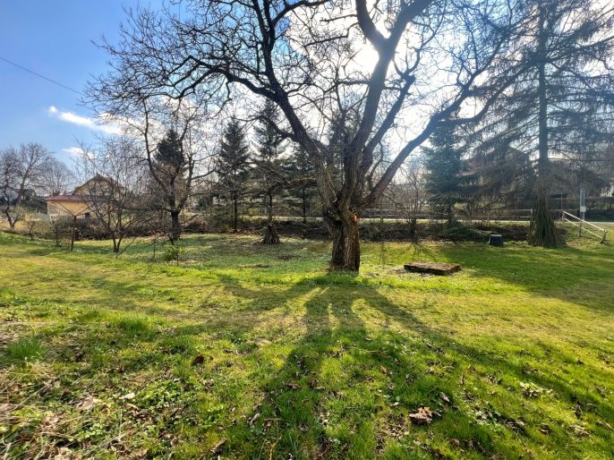 Prodej, Chalupa, Odry