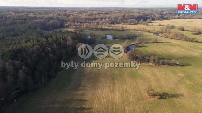 Prodej, Pole, Týniště nad Orlicí