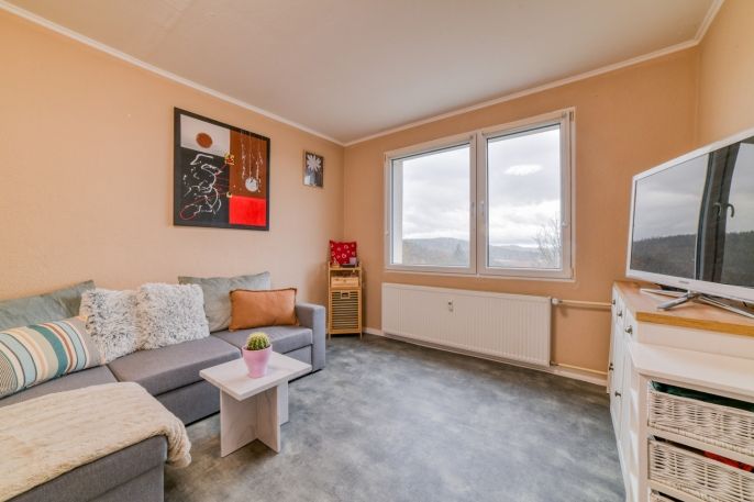 Prodej, Byt 1+1, Planá