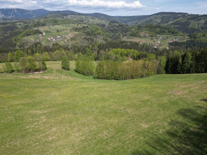 Prodej, Pole, Vysoké nad Jizerou