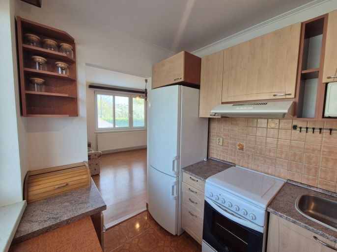 Prodej, Byt 3+1, Trubín