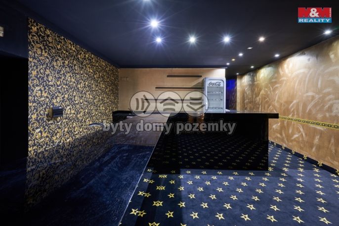 Pronájem, Obchod a služby, Uherský Brod