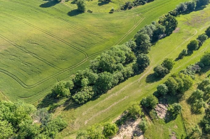 Prodej, Zahrada, Vysoká