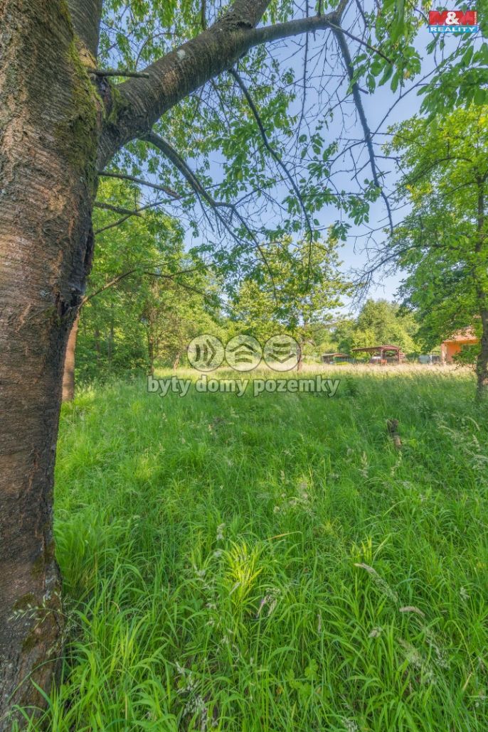 Prodej, Zahrada, Český Těšín