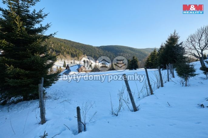 Prodej, Louka, Malá Úpa