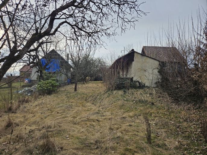 Prodej, Zahrada, Šternberk