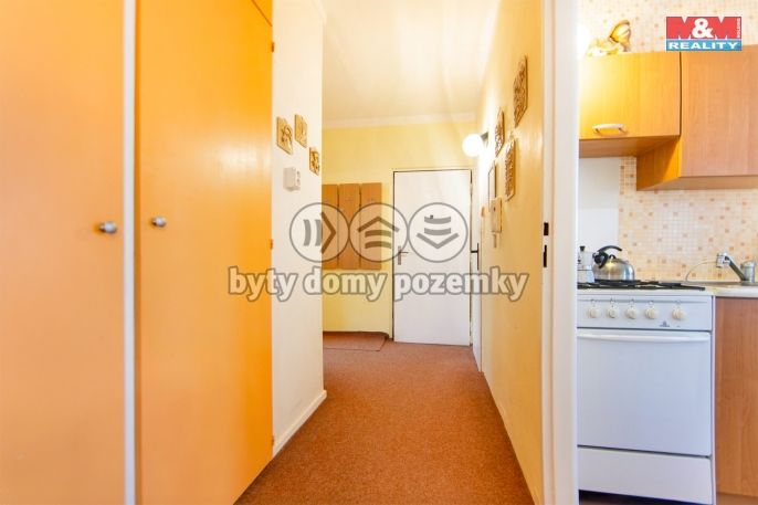 Prodej, Byt 3+1, Bor