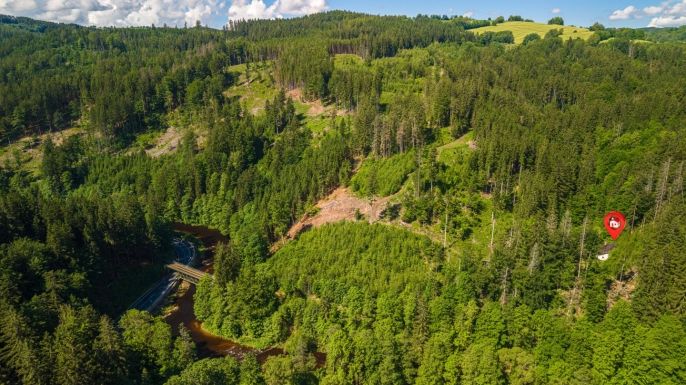 Prodej, Les, Jablonec nad Jizerou