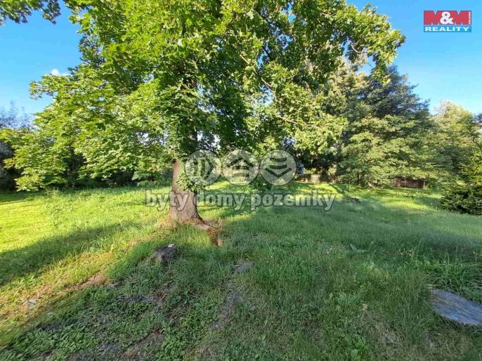 Prodej, Zahrada, Město Albrechtice