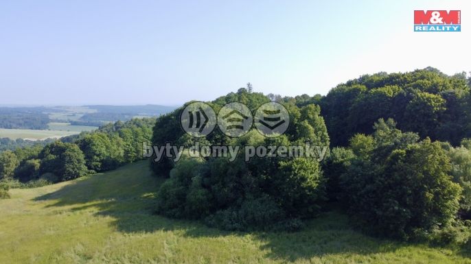 Prodej, Chalupa, Vlksice