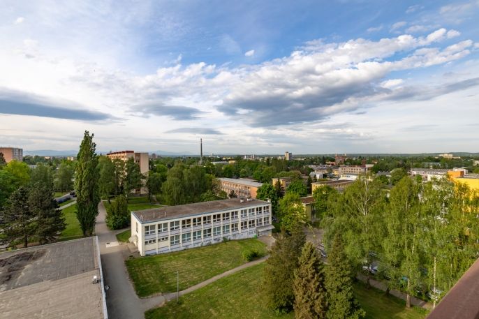 Prodej, Byt 2+1, Karviná