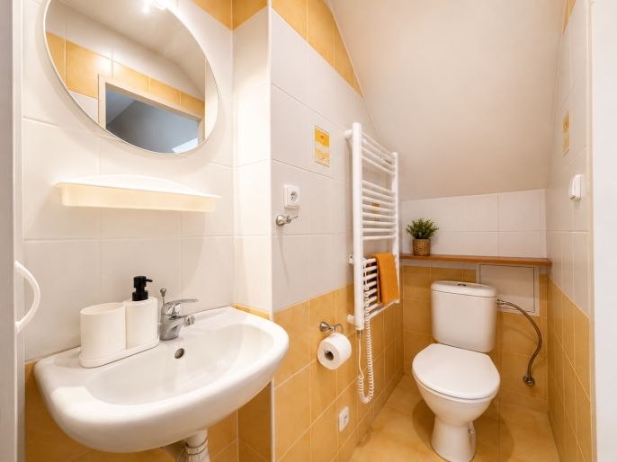 Prodej, Hotel, penzion, Nová Pec