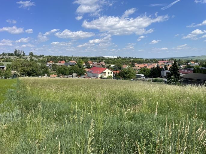 Prodej, Pozemek k bydlení, Holubice