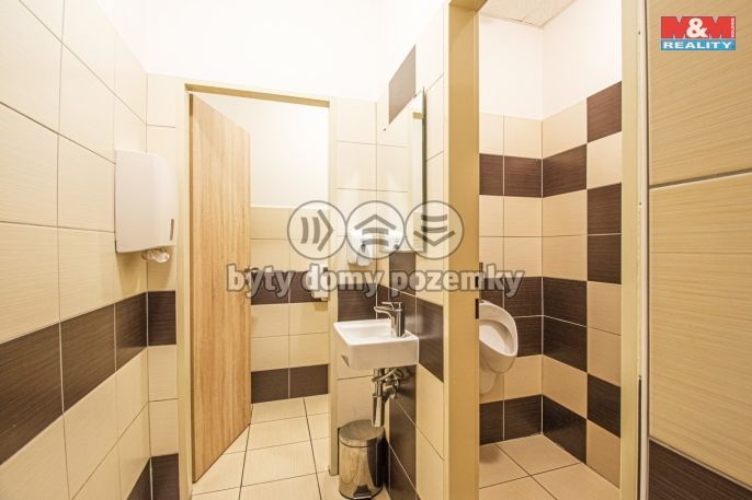 Prodej, Hotel, penzion, Slezské Rudoltice