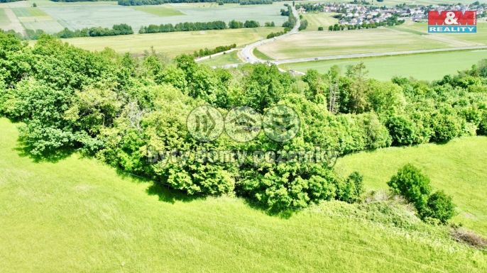 Prodej, Les, Vyšehoří