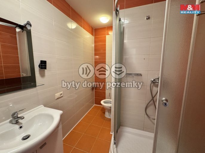 Pronájem, Byt 2+kk, Teplice