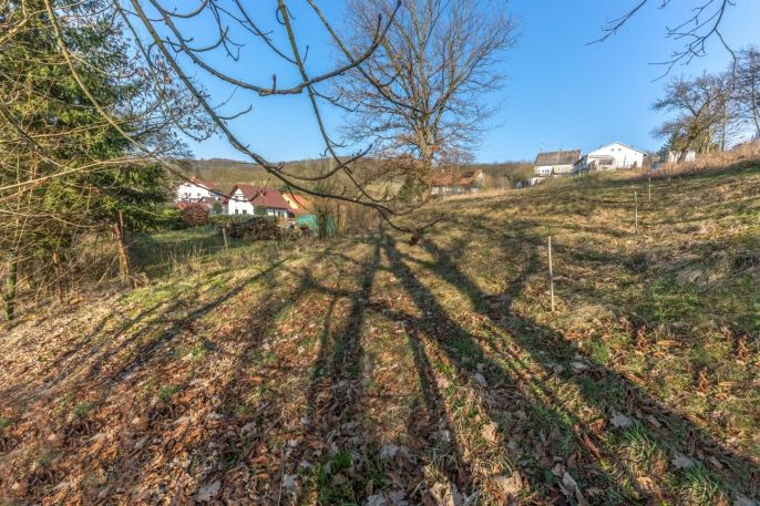 Prodej, Zahrada, Řehlovice