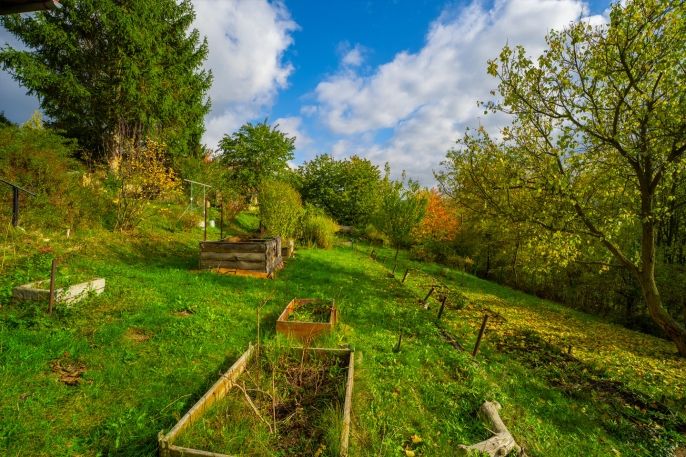 Prodej, Chata, Děčín